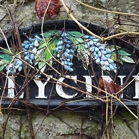 Le Glycine A Manoir Sainte Cecile Apartman Juvigny-Val-d'Andaine Kültér fotó