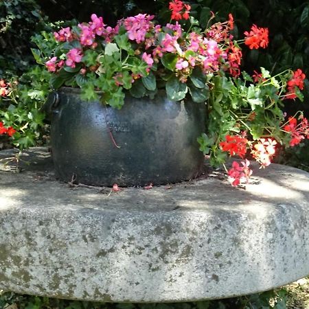 Le Glycine A Manoir Sainte Cecile Apartman Juvigny-Val-d'Andaine Kültér fotó